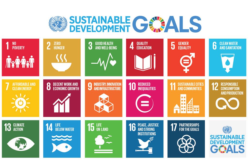 sustainable goals