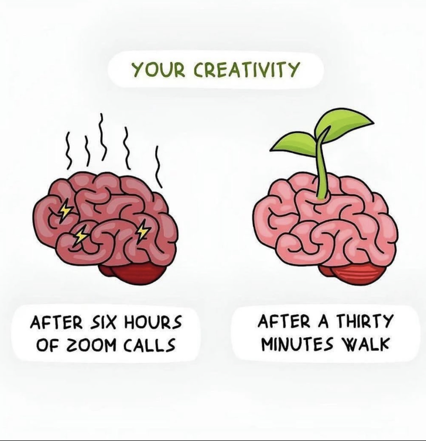 creativity on the brain